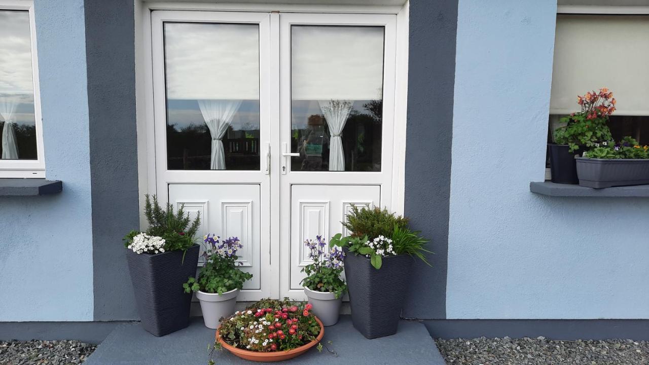 Clifden Wildflower Cottage - Clifden Countryside Lettings Esterno foto
