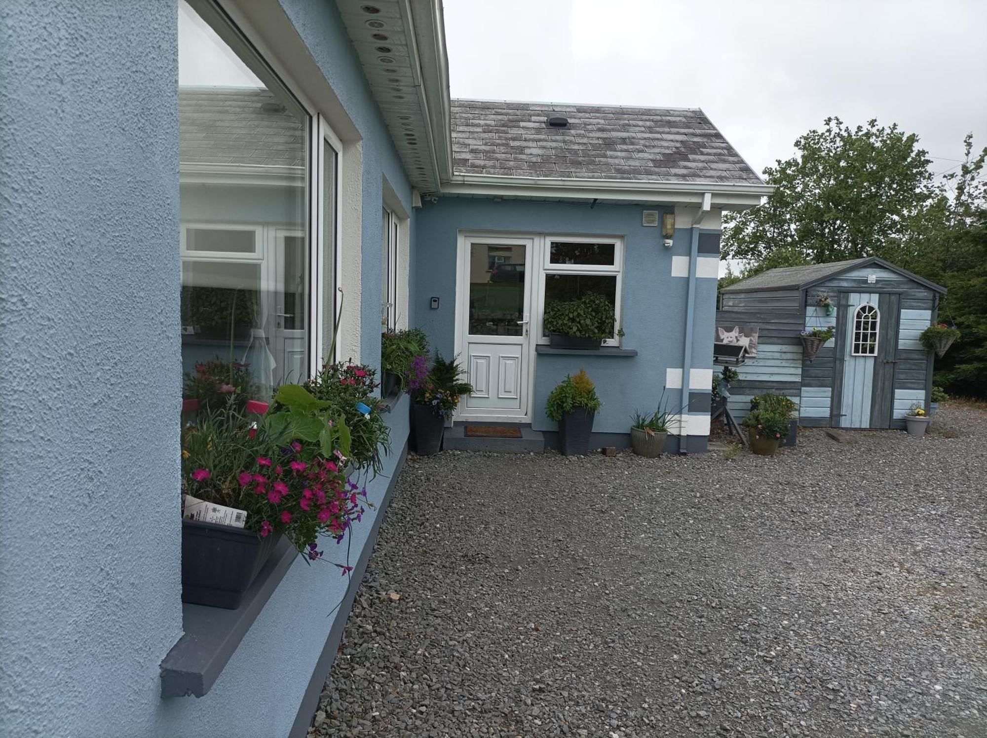 Clifden Wildflower Cottage - Clifden Countryside Lettings Esterno foto