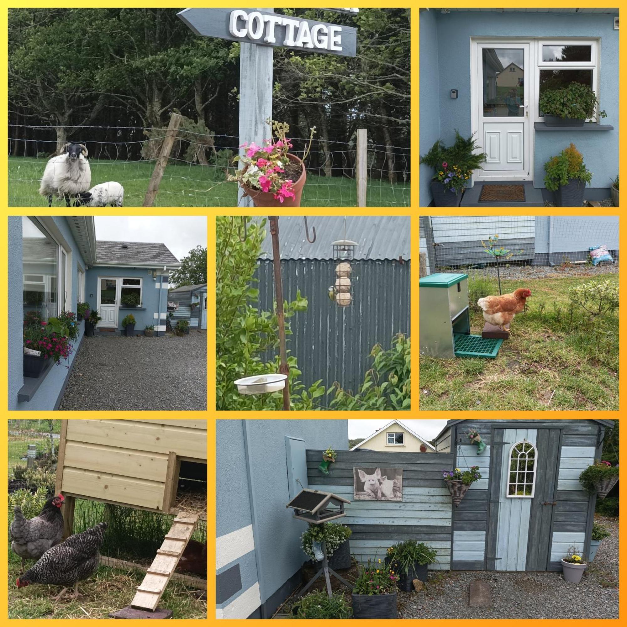 Clifden Wildflower Cottage - Clifden Countryside Lettings Esterno foto