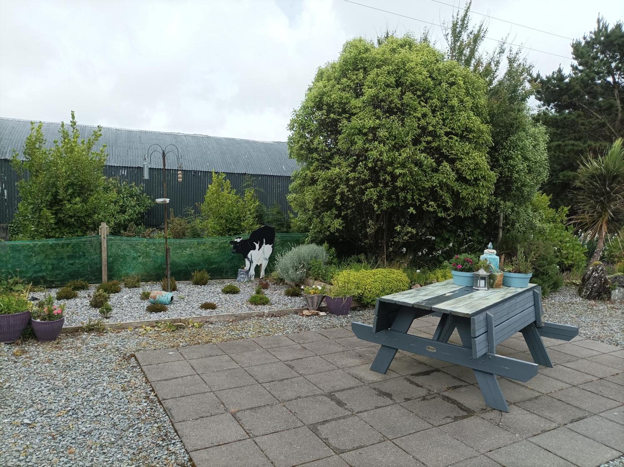 Clifden Wildflower Cottage - Clifden Countryside Lettings Esterno foto