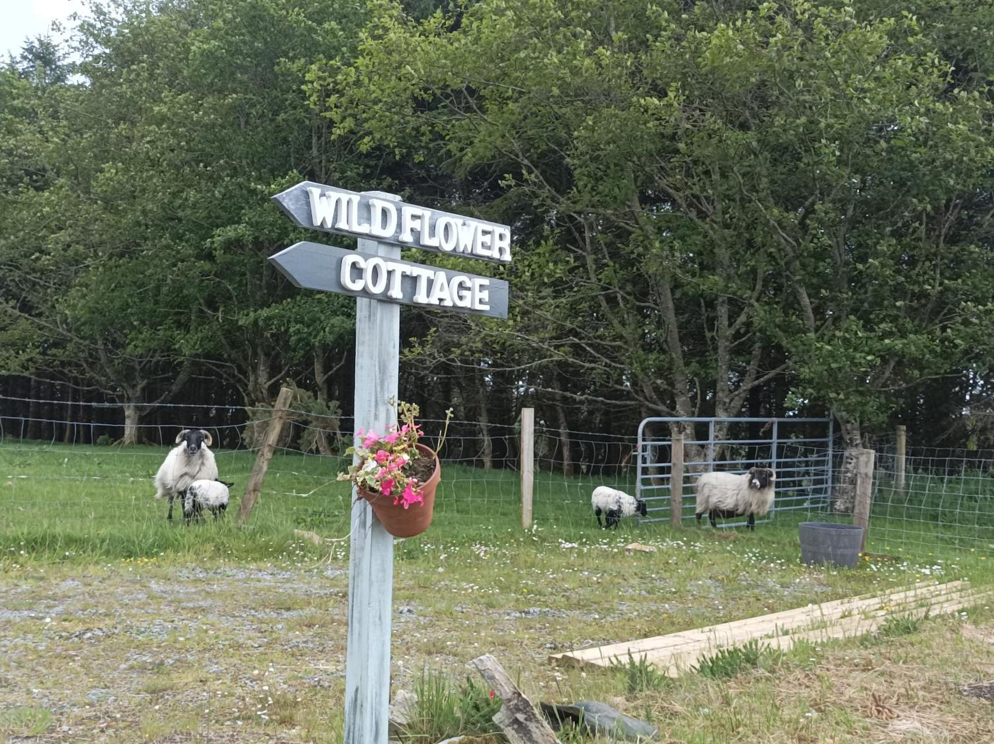 Clifden Wildflower Cottage - Clifden Countryside Lettings Esterno foto